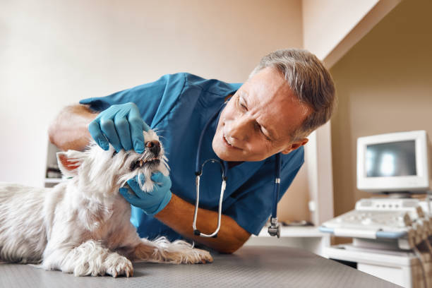Best Weekend Emergency Dentist in Cumberland Hill, RI